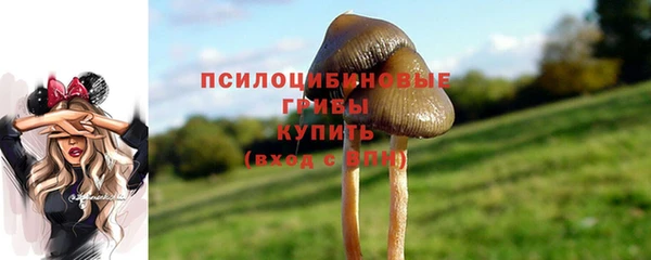 сатива Михайловск
