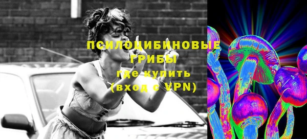 ПСИЛОЦИБИНОВЫЕ ГРИБЫ Навашино