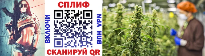 shop клад  Кувшиново  Канабис план  OMG зеркало 